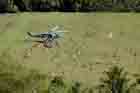 SH-60 Photo