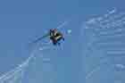 SH-60 Photo