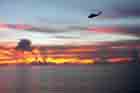 SH-60 Photo