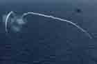 SH-60 Photo