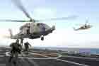 SH-60 Photo
