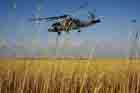 SH-60 Photo