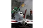 T-45 Photo