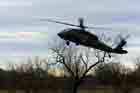 UH-60 Photo