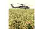 UH-60 Photo