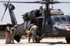 UH-60 Photo