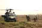 UH-60 Photo