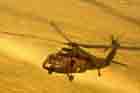 UH-60 Photo