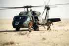 UH-60 Photo