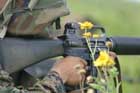M4 Photo