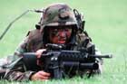 M203 Photo