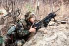 M203 Photo