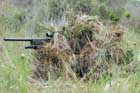 M40 Photo