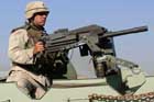 MK19 Photo