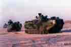 AAV Photo