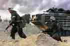 AAV Photo