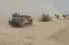 AAV Photo