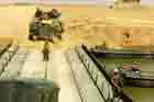 AAV Photo