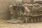 AAV Photo