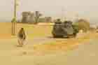 AAV Photo