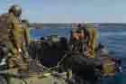 AAV Photo