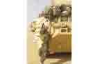 AAV Photo