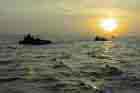 AAV Photo