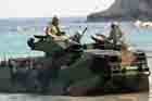 AAV Photo