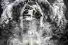 AAV Photo