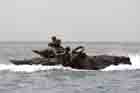 AAV Photo