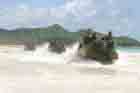 AAV Photo