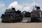 AAV Photo