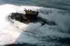 AAV Photo