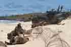 AAV Photo