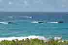 AAV Photo