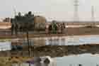 AAV Photo