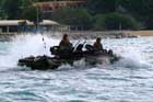 AAV Photo