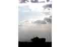 AAV Photo