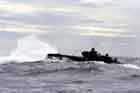 AAV Photo