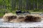 AAV Photo