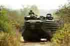 AAV Photo