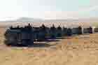 AAV Photo
