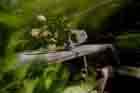 HMMWV Photo