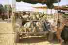 HMMWV Photo