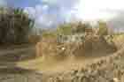 HMMWV Photo