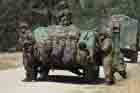 HMMWV Photo