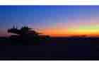 M1A1 Photo