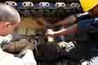 M1A1 Photo