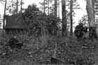 M113 Photo