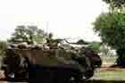 M113 Photo